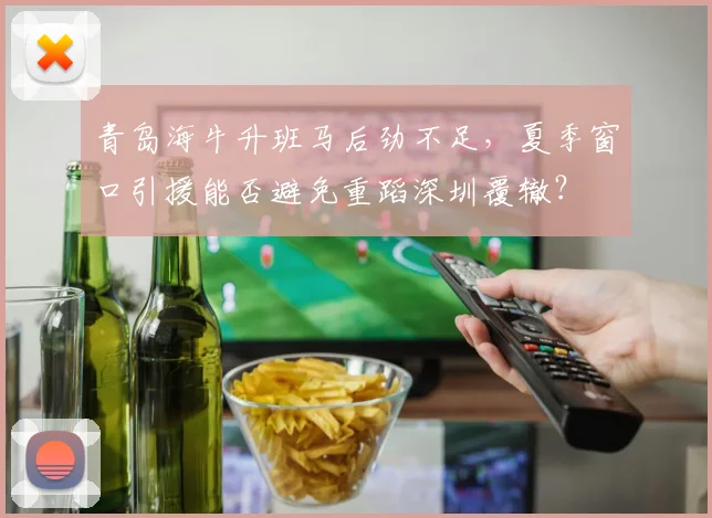青岛海牛升班马后劲不足,夏季窗口引援能否避免重蹈深圳覆辙?