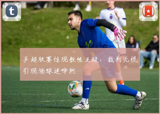 乒超联赛惊现教练互殴，裁判无视引现场球迷哗然